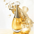 Dream Brand Collection G 007 Insp Jadore Feminino 25ml